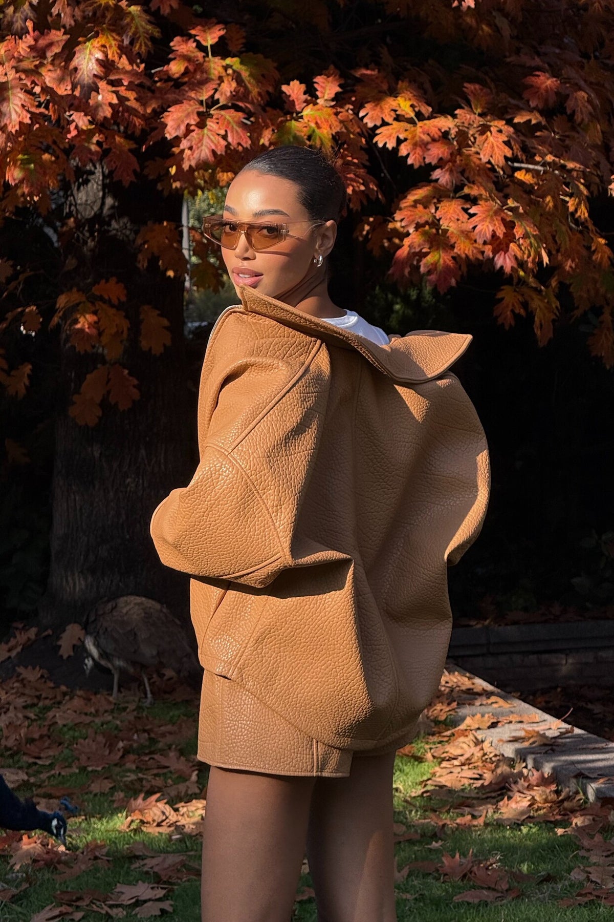 BOMBER PORCINI CARDADO