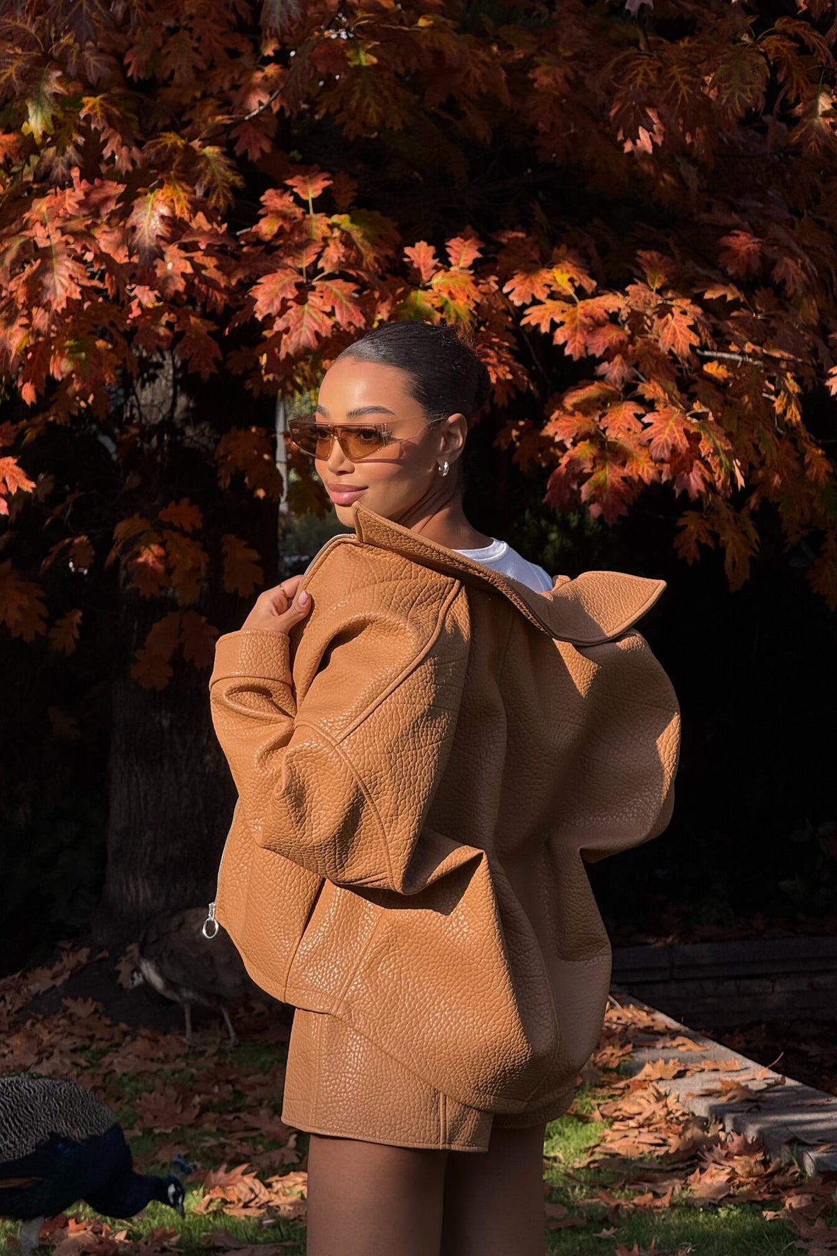 BOMBER PORCINI CARDADO