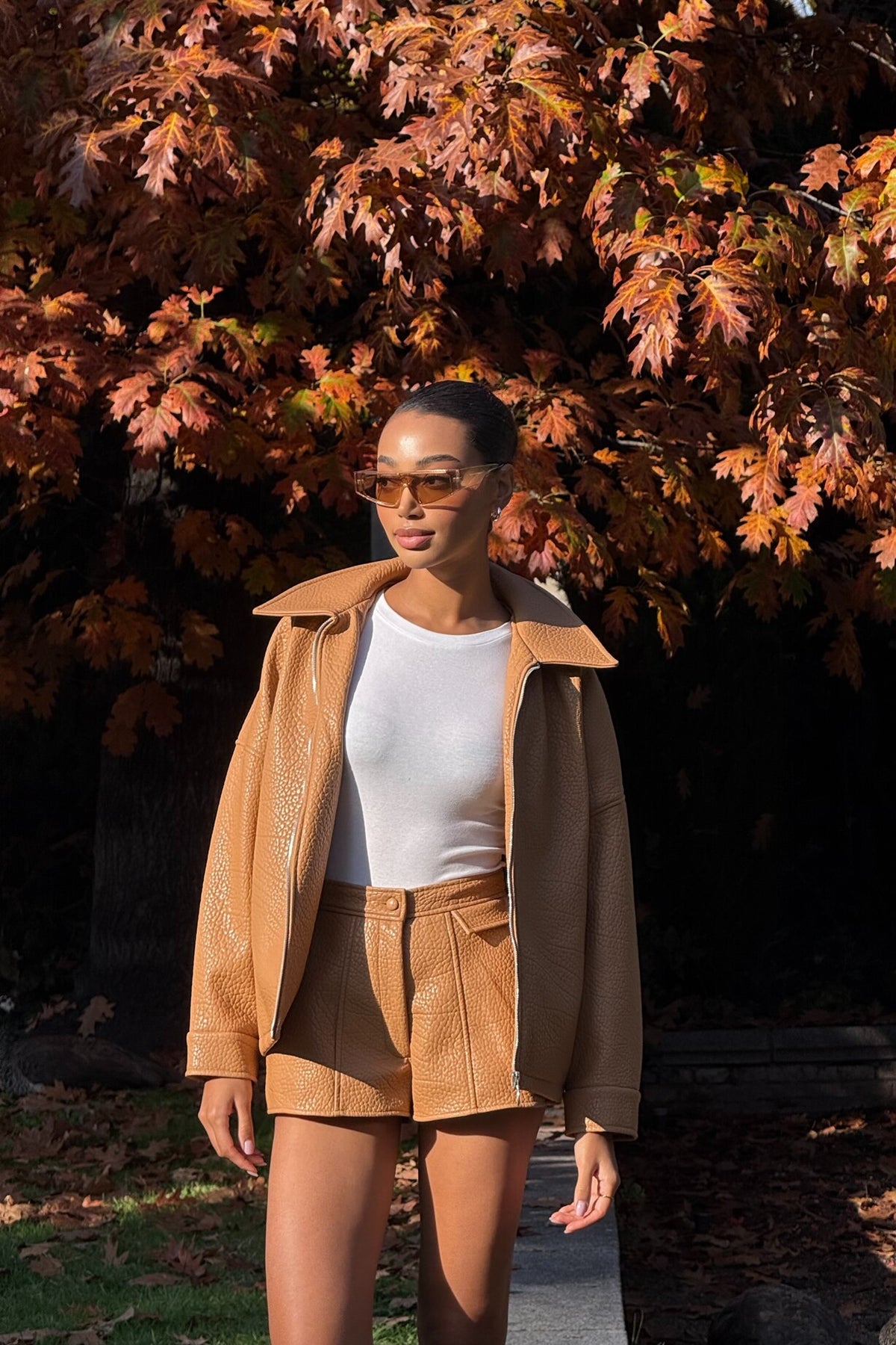 BOMBER PORCINI CARDADO