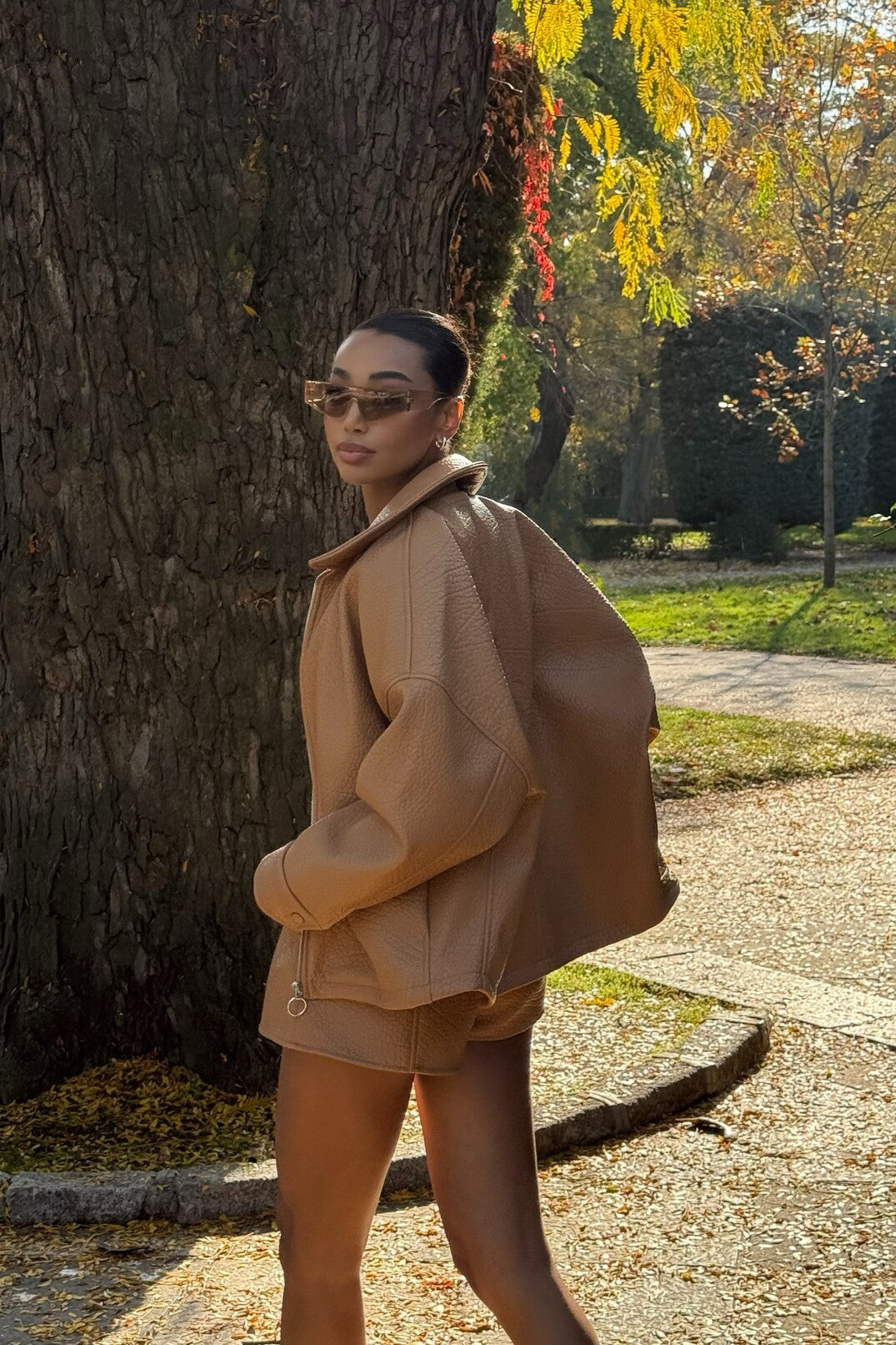 BOMBER PORCINI CARDADO