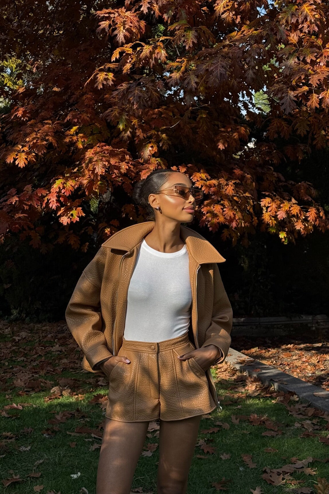 BOMBER PORCINI CARDADO