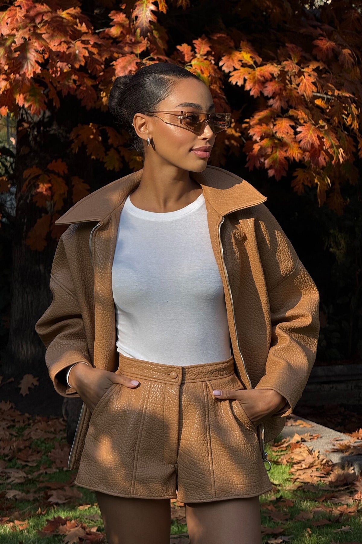 BOMBER PORCINI CARDADO