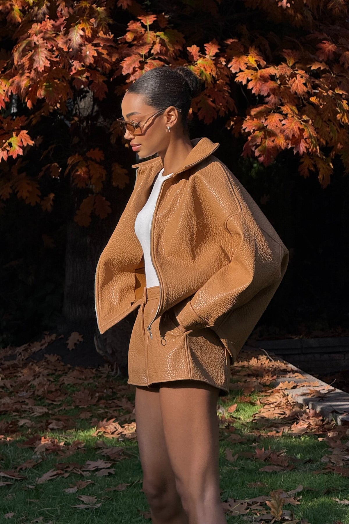 BOMBER PORCINI CARDADO