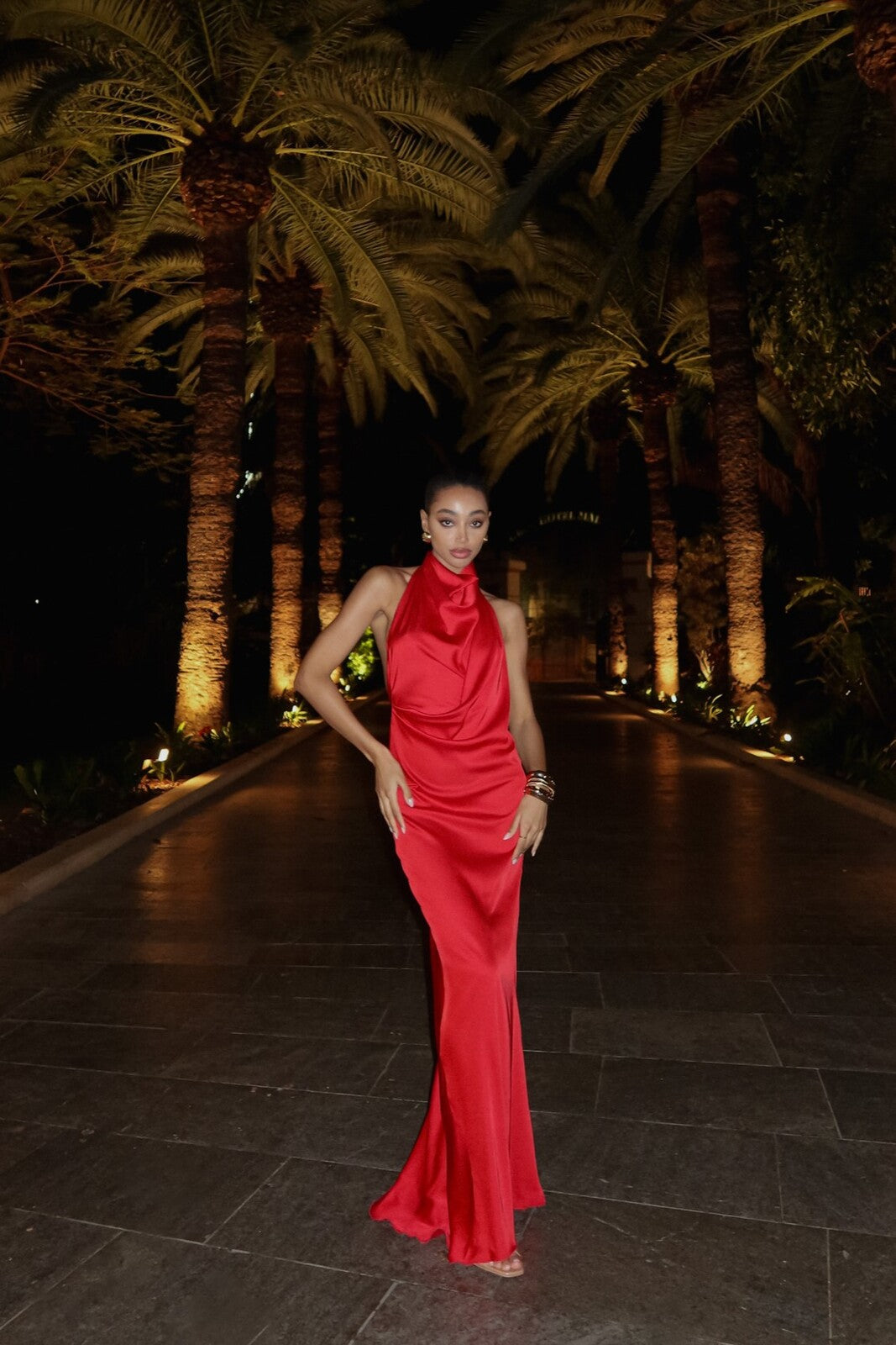 VLONG RED DRESS