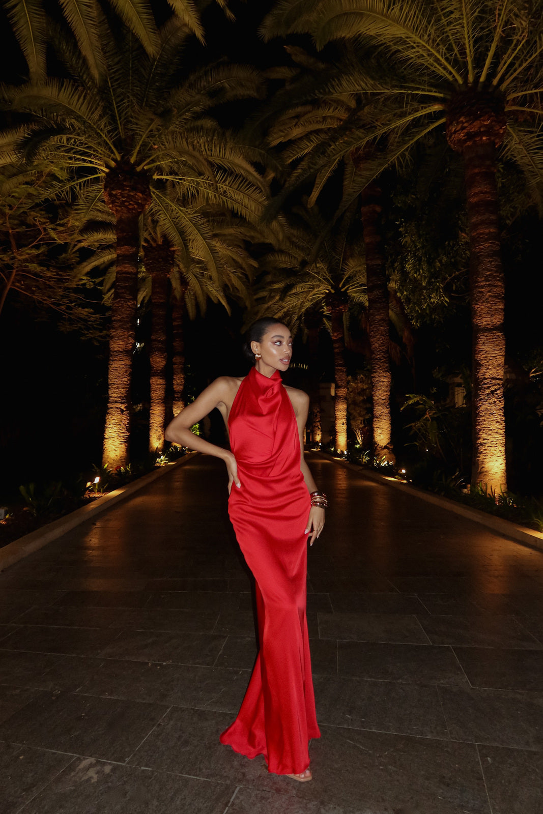 VLONG RED DRESS
