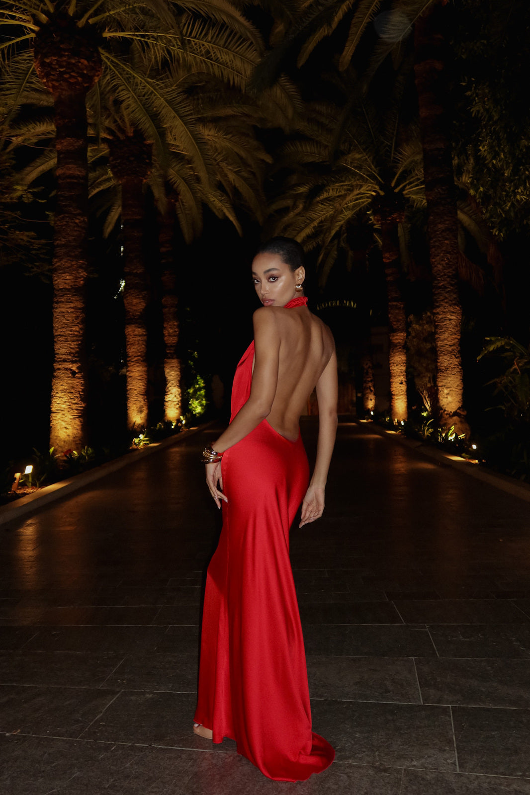 VLONG RED DRESS