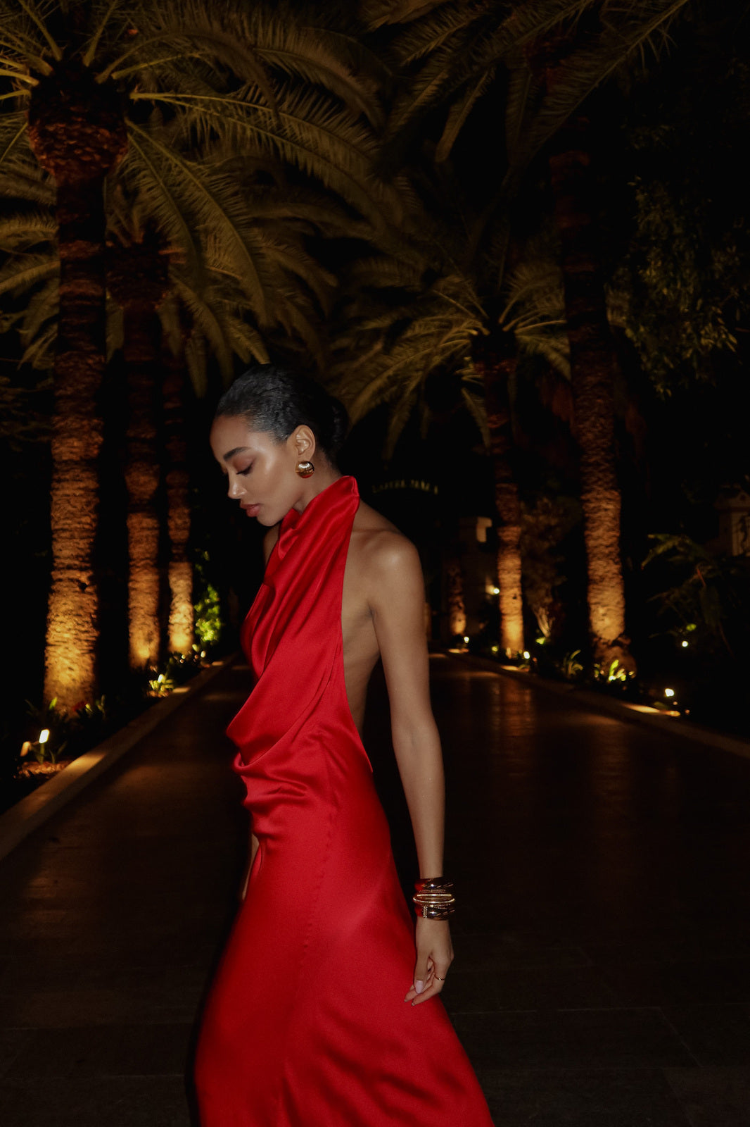 VLONG RED DRESS