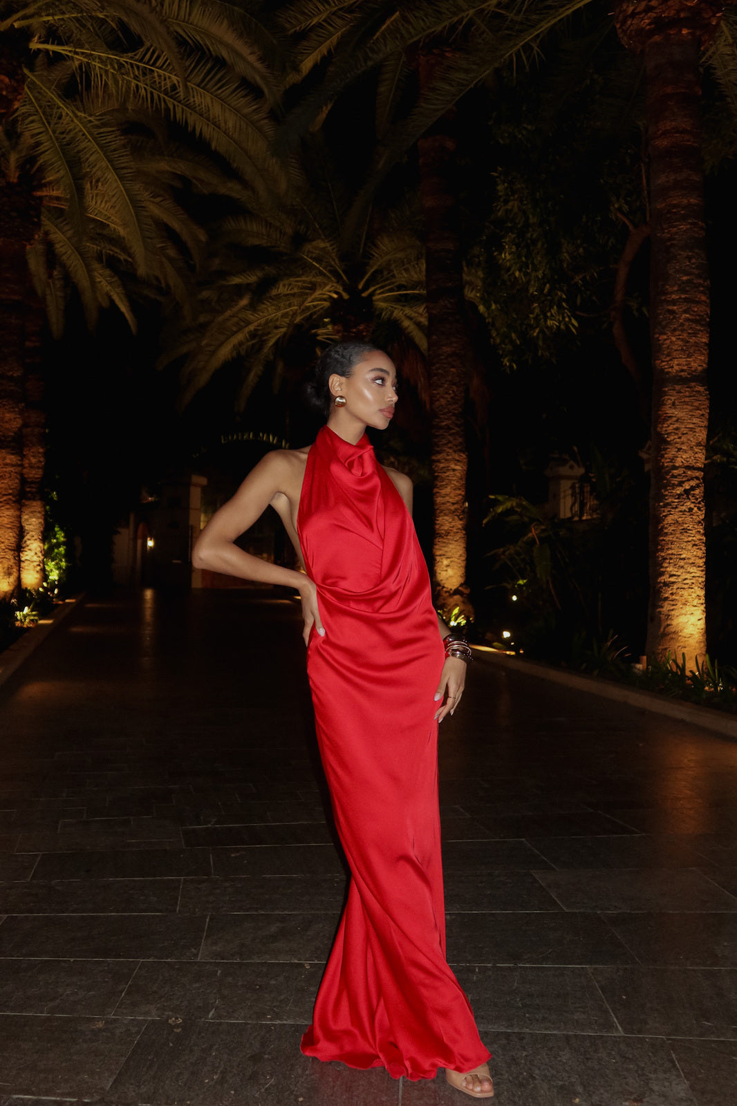 VLONG RED DRESS