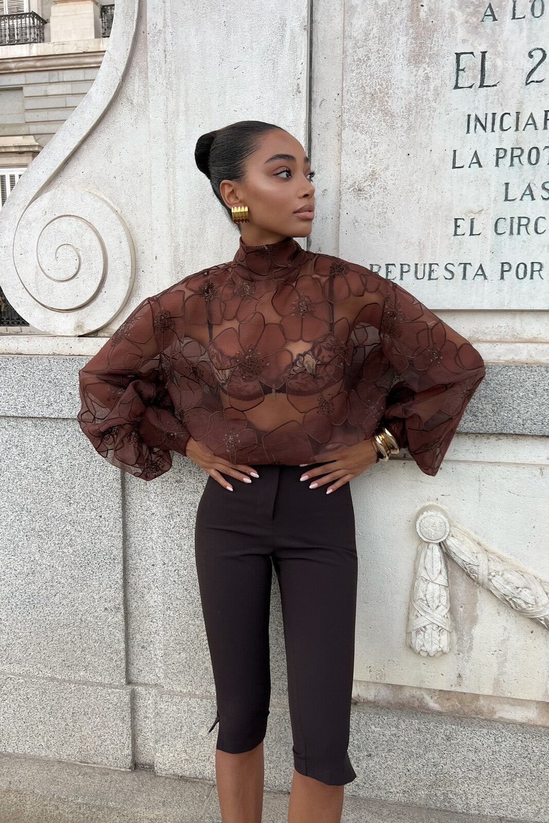 BLUSA TULE CASTANHA FLOR ORGANZA